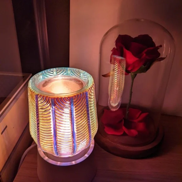 Scentsy fun fall themed mystery bag! This will have new scents and fan favorites - Picture 6 of 6